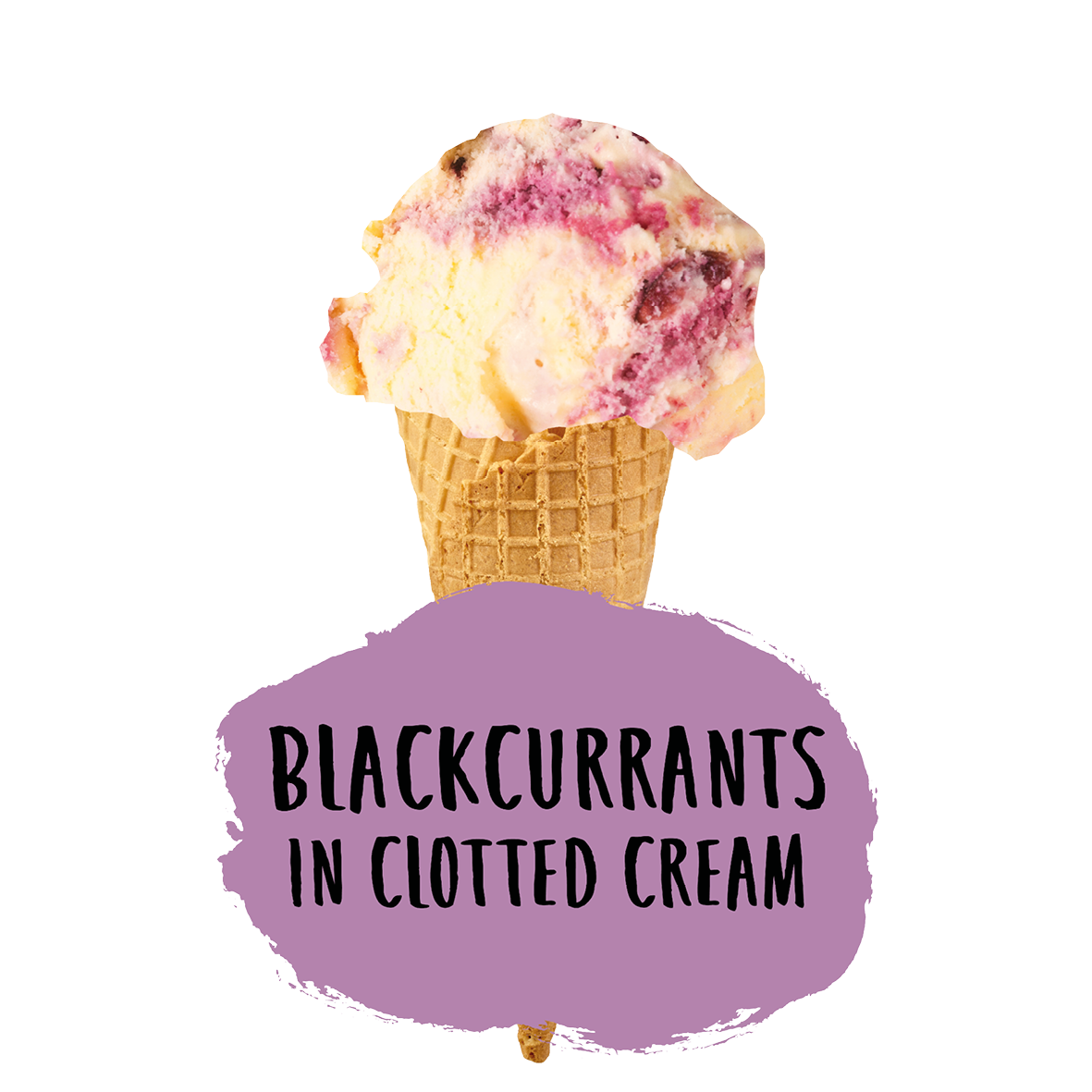 Marshfield Farm Blackcurrants in Clotted Cream Ice Cream