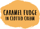 Flavour Stickers (Back Stick)