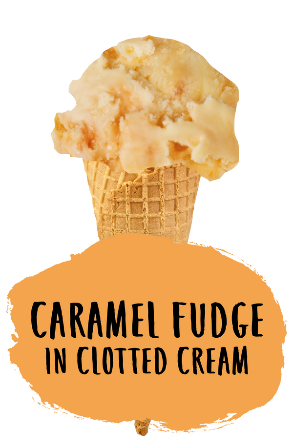Caramel Fudge in Clotted Cream Ice Cream Marshfield Farm Ice Cream