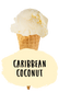 Marshfield Farm Caribbean Coconut Flavour Cone