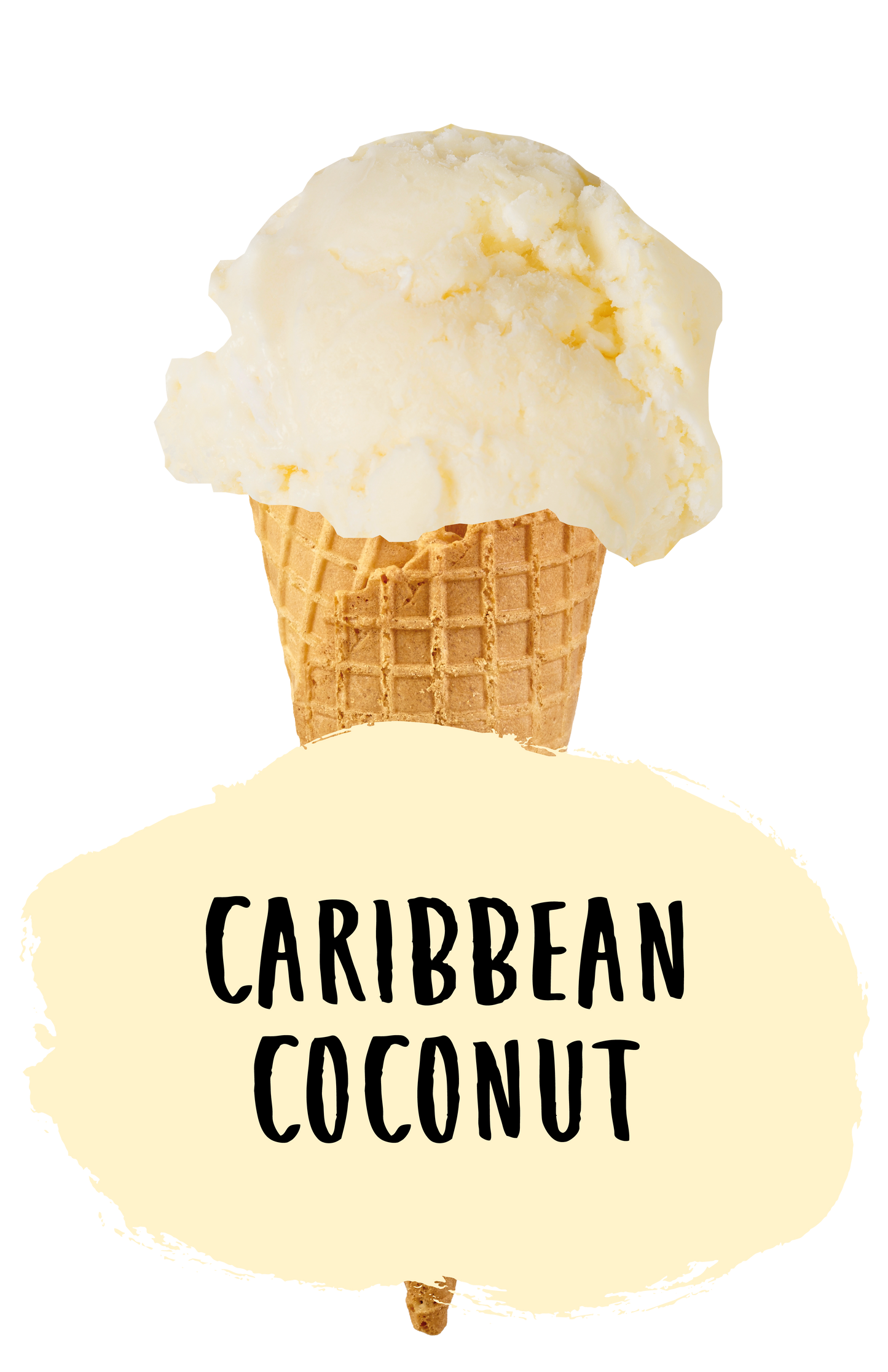 Caribbean Coconut Ice Cream