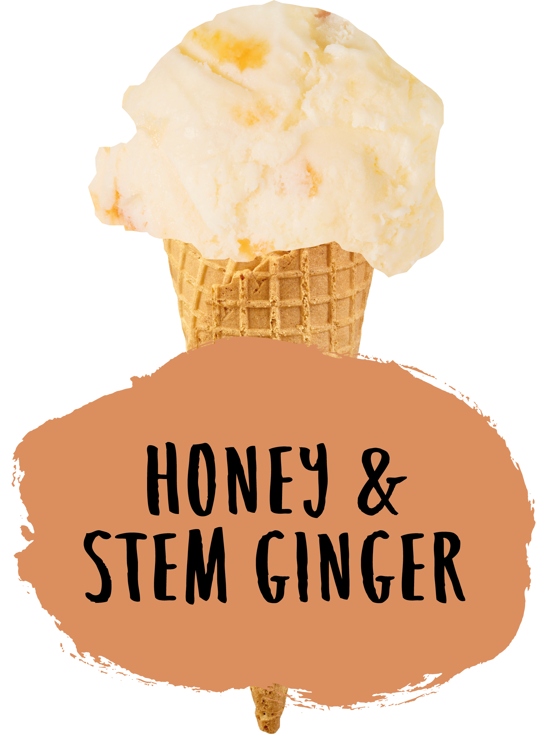 Honey and Stem Ginger Flavour Cone