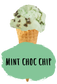 Marshfield Farm Mint Choc Chip Flavour Cone