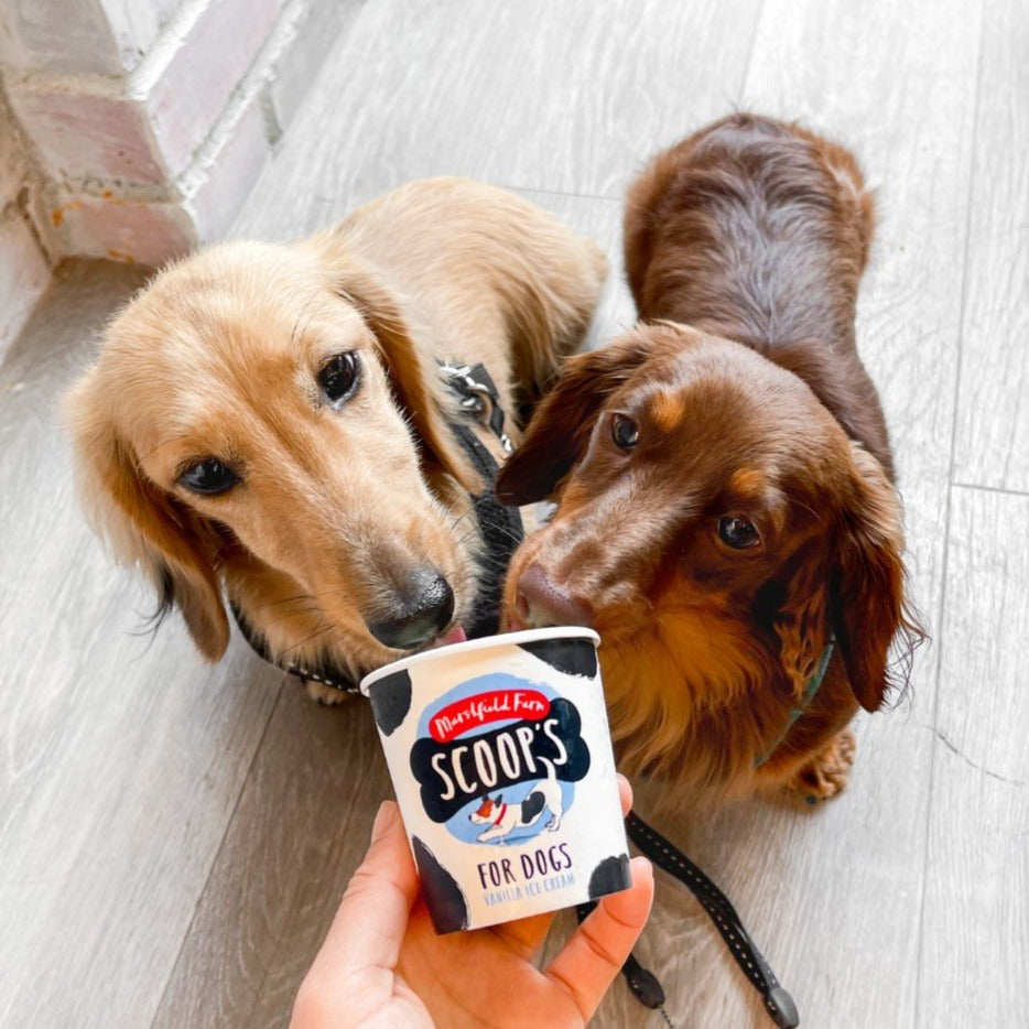 Scoop's Ice Cream for Dogs Vanilla