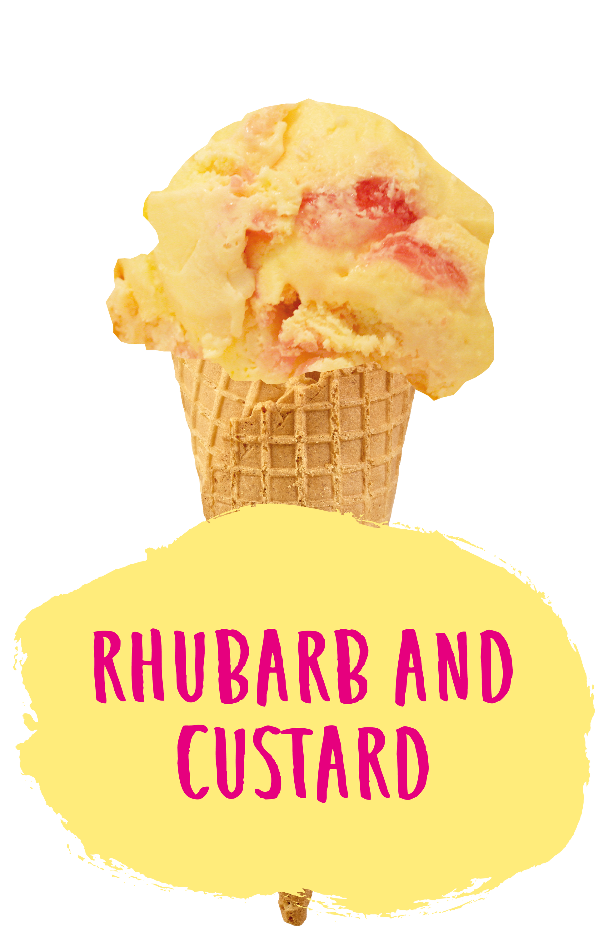 Marshfield Farm Rhubarb and Custard Flavour Cone
