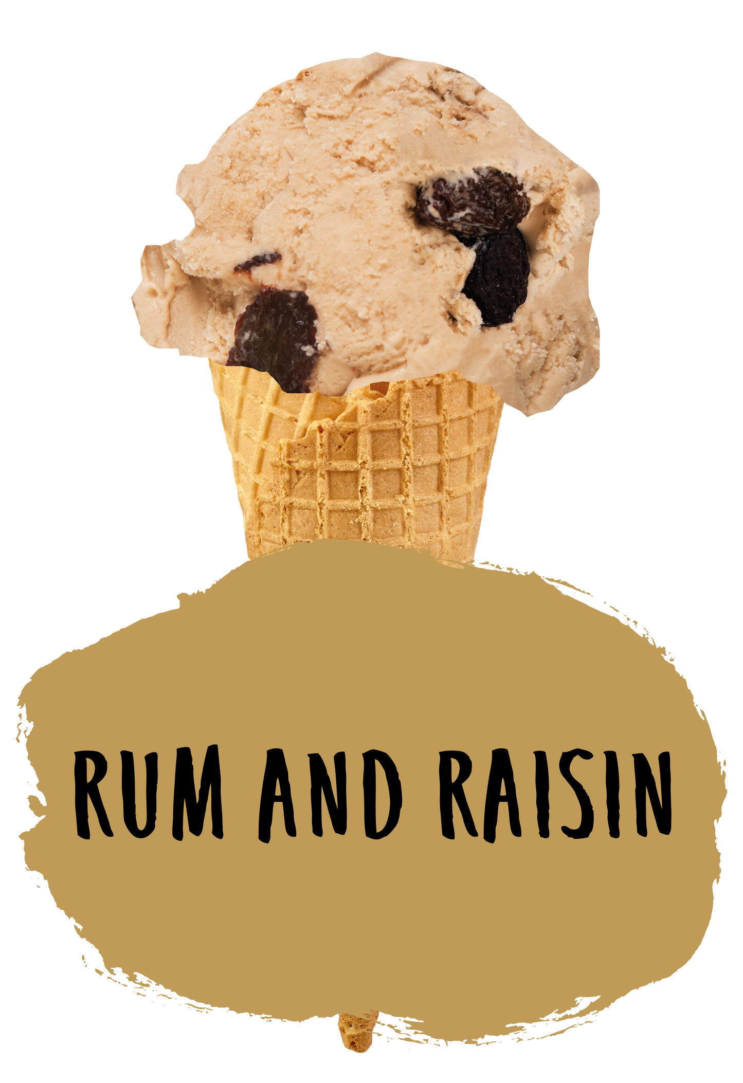 Marshfield Farm Rum and Raisin Flavour Cone
