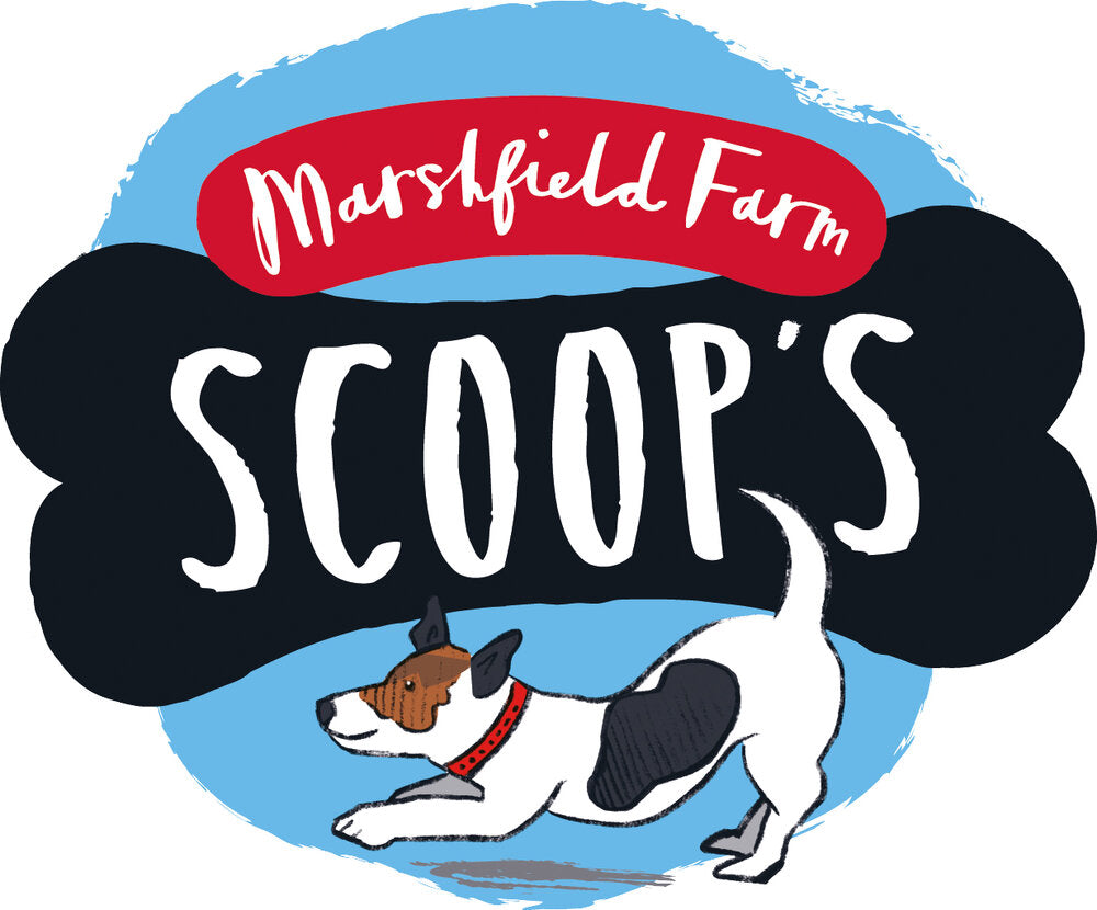 Scoop's Ice Cream for Dogs Vanilla