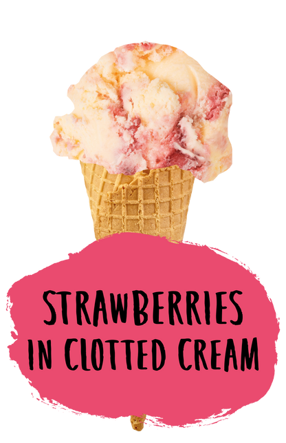Marshfield Farm Strawberries in Clotted Cream Flavour Cone